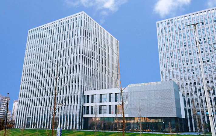 海口企业官网建设中WordPress与定制开发的选型对比